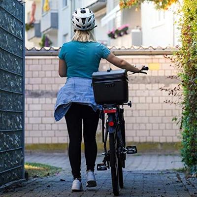 FISCHER FAHRRAD Koelbox voor op de fiets Passief Zwart 19 l