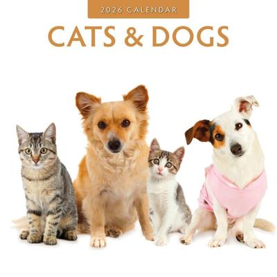 Cats and Dogs Kalender 2026