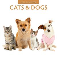 Cats and Dogs Kalender 2026 - thumbnail