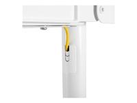 Neomounts NS-M1250WHITE TV standaard Wit - thumbnail
