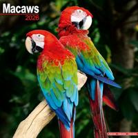 Macaws Calendar 2026 Square Bird Wall Calendar - 16 Month - thumbnail