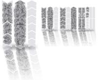 Unleazhed Unscratch - Frame protection film Monstera black matt - thumbnail