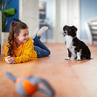 Philips FC8038/01 FC8038/01 Stofzuigerfilter