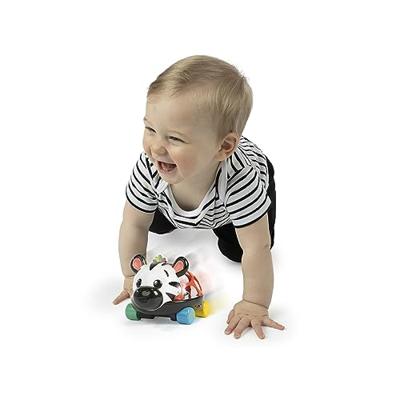 Baby Einstein Sensorisch speelgoed (Zebra) Baby Einstein Sensorisch speelgoed (Zebra)