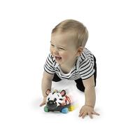 Baby Einstein Sensorisch speelgoed (Zebra) - thumbnail