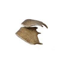 Zoolekker - Damhert gewei hondensnack M - thumbnail