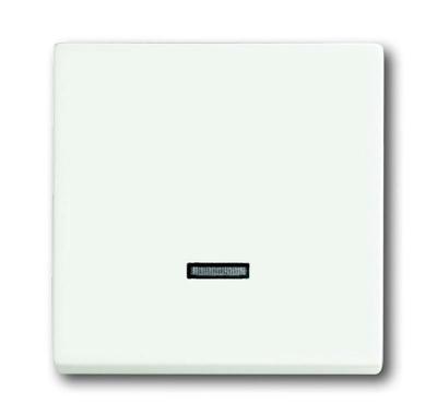 Busch-Jaeger bedieningselement 6543-884-101 studiowit mat