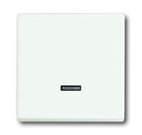 Busch-Jaeger bedieningselement 6543-884-101 studiowit mat - thumbnail