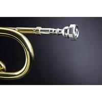 Vincent Bach TR501 Bb trompet 122.24 mm (gelakt) met tas - thumbnail