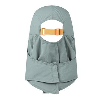 BUFF® Desert Solid Pet