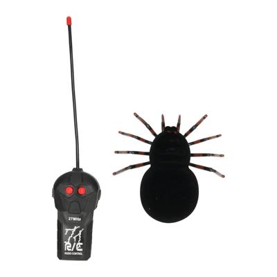 Rc Jungle expedition creepy spin