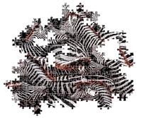 Clementoni legpuzzel national geographics - zebra, 1000st. - thumbnail