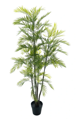 Areca palm Aruba in pot green 180 cm kunstbloem Erutan Avon - Erutan avon Areca palm Aruba in pot green 180 cm kunstbloem Erutan Avon - Erutan avon