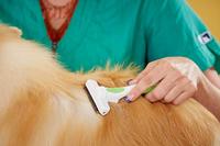 Andis Deshedding Tool - Hondenontmantelingsborstel - Verwijdert effectief ondervacht - Deshedding borstel voor honden en katten - Helpt de vacht te verwijderen om het afstoten te verminderen - - thumbnail