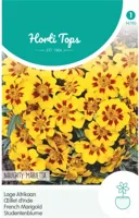 Zaden Tagetes lage Afrikaan Naughty Marietta Hortitops - Hortitops - thumbnail