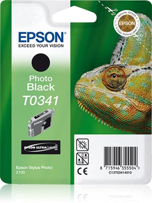 Epson T0341 foto zwart