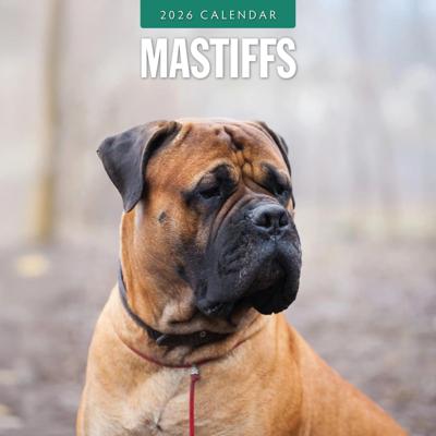 Mastiff Kalender 2026