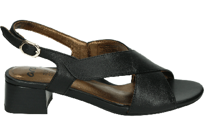 Ara 1251802 GRAZ-S - alle Ara 1251802 GRAZ-S - alle