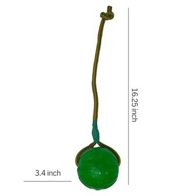 STARMARK SWING 'N FLING CHEW BAL AAN KOORD