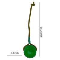 Starmark swing &apos;n fling chew bal aan koord - thumbnail