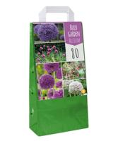 Jub Bulb garden allium 80st - thumbnail