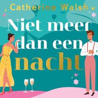 Niet meer dan een nacht - thumbnail