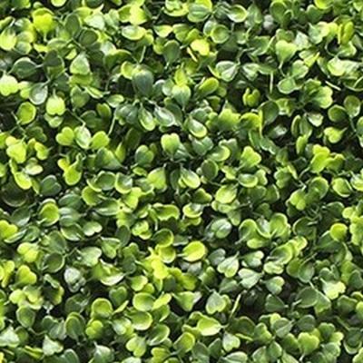 Kunstplanten mat 50x50 cm buxus geel Buitengewoon de Boet - Buitengewoon de boet