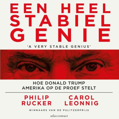 Een heel stabiel genie