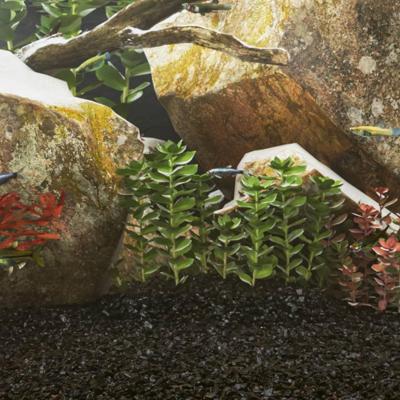 VidaXL Aquariumzand 10 kg 0,2-2 mm zwart VidaXL Aquariumzand 10 kg 0,2-2 mm zwart