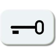 Busch-Jaeger 2525 TR-214 Symbool voor knop sleutel Afdekking Busch-balance SI Alpine-wit 1 stuk(s)