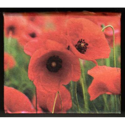 Papierhouder Groot Vierkant Klaprozen Papierhouder Groot Vierkant Klaprozen