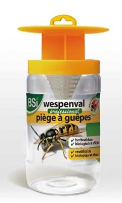 BSI wespenval