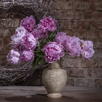 Alexsar Art Tuinschilderij pioenrozen 50x50cm