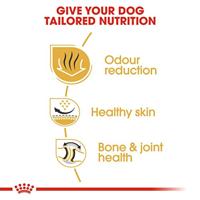 ROYAL CANIN Bulldog Adult - droog hondenvoer - 12 kg - thumbnail