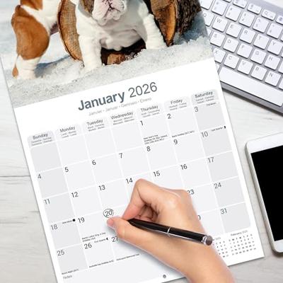 Bulldog Calendar 2026 Square Dog Breed Wall Calendar - 16 Month