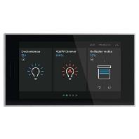Busch-Jaeger 2TMA200050B0008 Muur-touchdisplay RT/U30.0.11-825