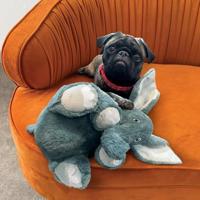 KONG COMFORT KIDDOS JUMBO OLIFANT 33X33X19 CM - thumbnail