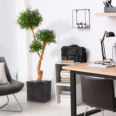 Olijf Bonsai deluxe x3 kunstboom 160cm