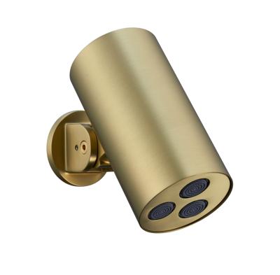 Hoofddouche BWS Sensa Cilinder Muur Geborsteld Goud PVD Hoofddouche BWS Sensa Cilinder Muur Geborsteld Goud PVD