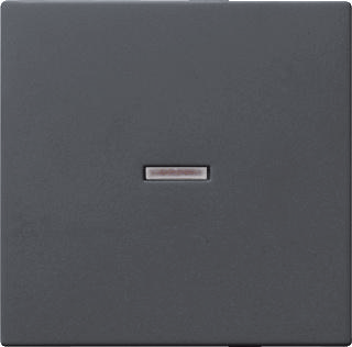 Gira wip met controlevenster E2 antraciet