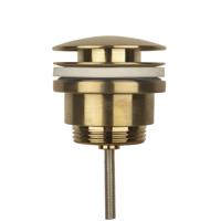 Clickwaste Aqua Splash Colorato Met 5/4 Overloop Geborsteld Goud Aqua Splash - thumbnail