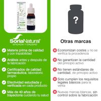 Composor 15 Artemisia complex XXI?? - thumbnail