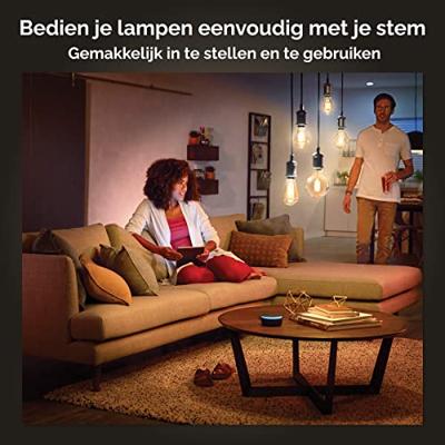 Philips HUE Lichtbron E27 Filament G125 White
