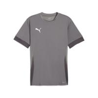 PUMA teamGOAL Matchday Voetbalshirt Grijs Wit - thumbnail