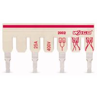 WAGO 2002-481/011-000 Lichtgrijs 50 stuk(s) - thumbnail