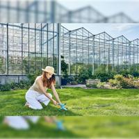Watersprinkler Cellfast Ergo ABS 4 bar 200 m² 16 m 22 l/min Rotatie - thumbnail