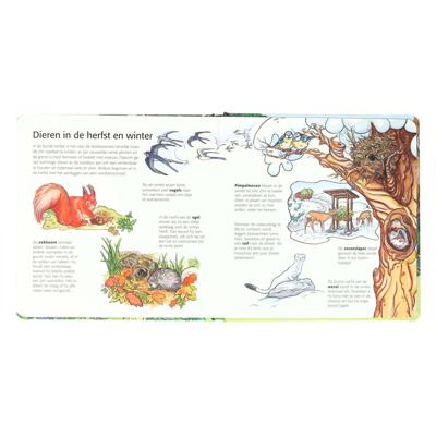 Wins Holland Kinderen ontdekken het bos