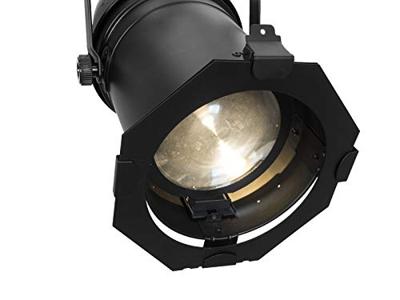 Eurolite PAR LED-schijnwerper Aantal LEDs: 1 100 W Zwart