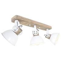Steinhauer PlafondspotGearwood - 2133W - thumbnail