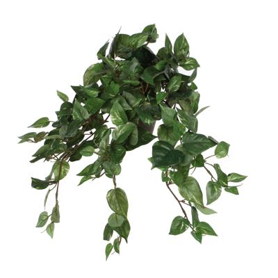 Kunstplant mica scindapsus hangend groen